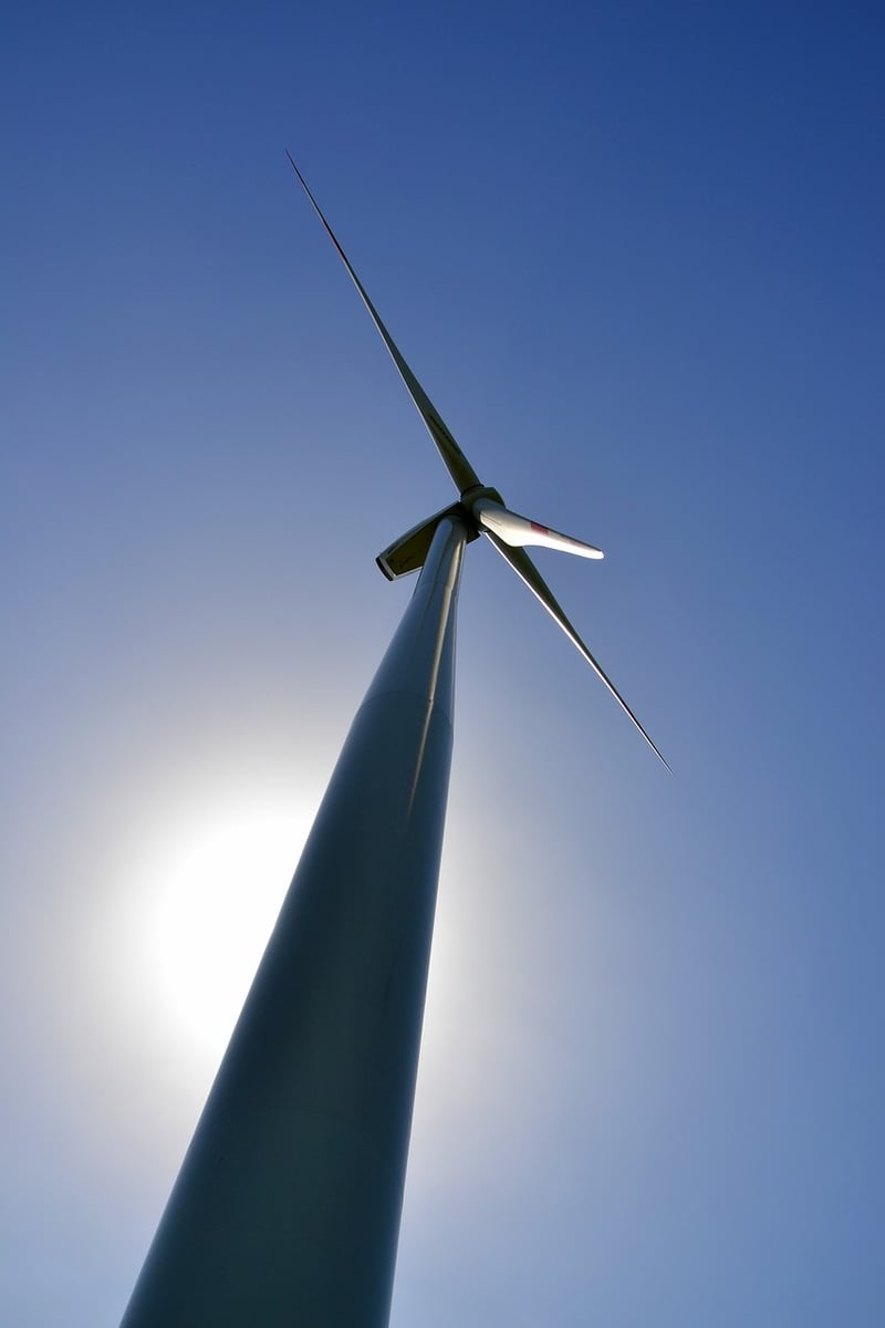 Sustainability Tips
